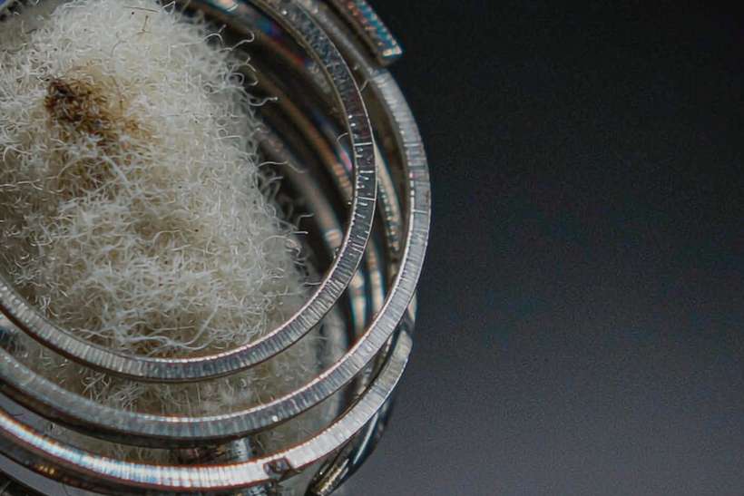 B2B Supply of Nicotine pods — US warehouse