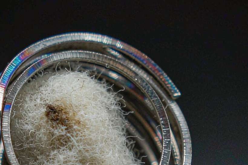 Buyer's Guide to Nicotine in Glasgow — Middle East