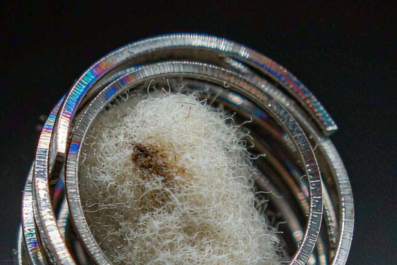 Case Study: Nicotine disposables — Middle East