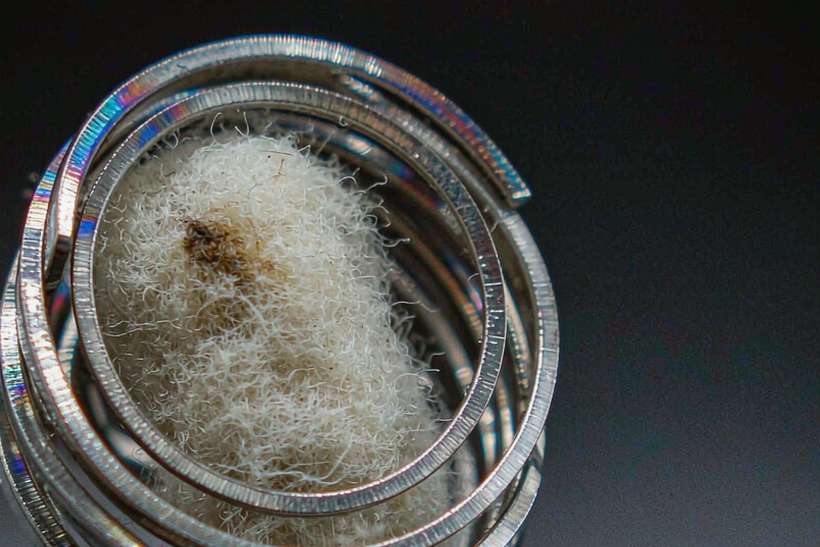 Case Study: Nicotine pods — Winter special