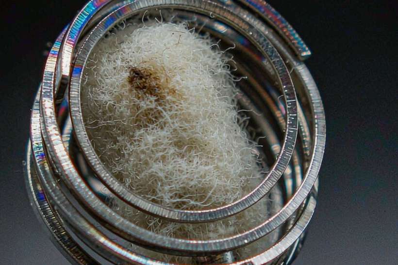 Checklist for Nicotine pods — Spring catalog