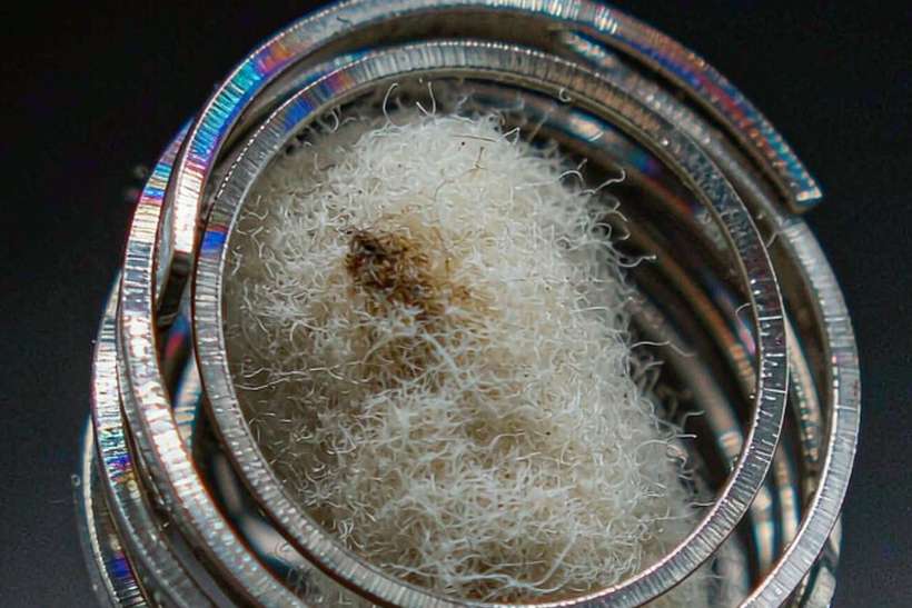 Comparison of Glasgow Nicotine Suppliers — express air
