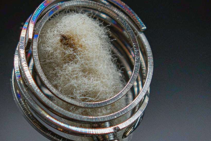 Device Catalog for Nicotine disposables — small parcel