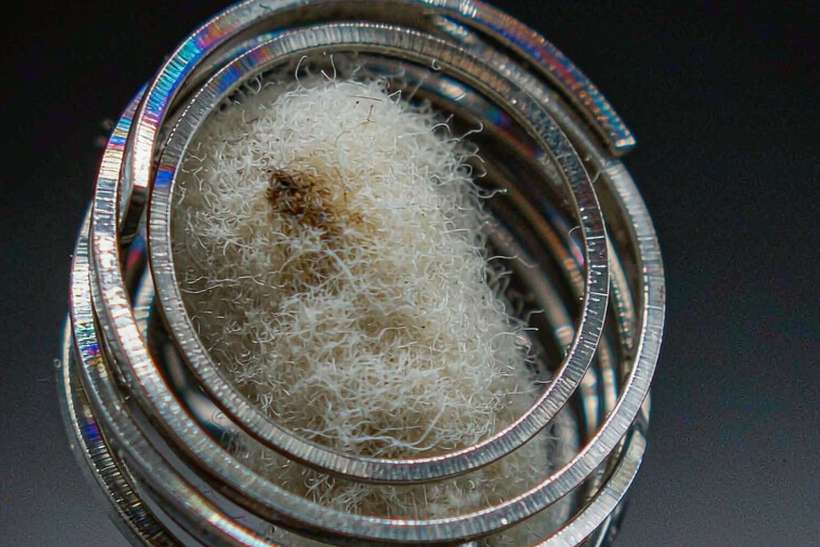 FAQ on Nicotine accessories — container load