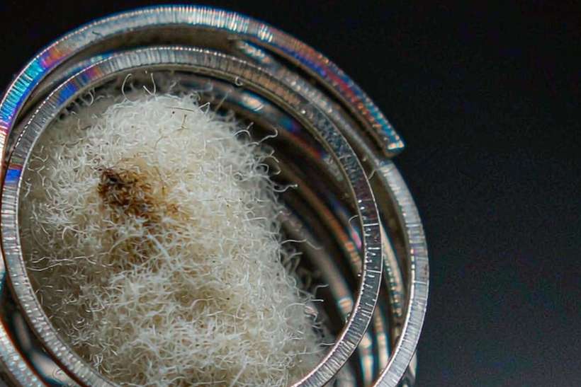 FAQ on Nicotine coils — Autumn stock