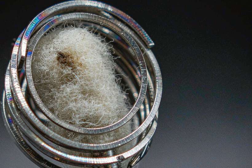 FAQ on Nicotine disposables — bulk case