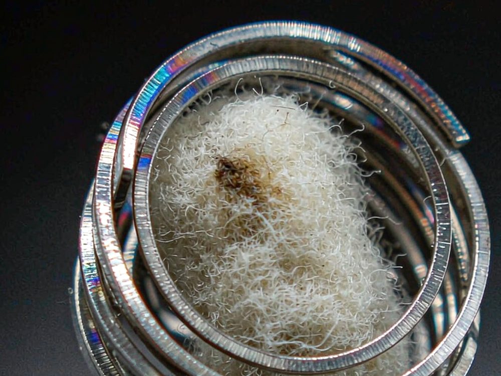 Flavor Catalog of Nicotine coils — top rated