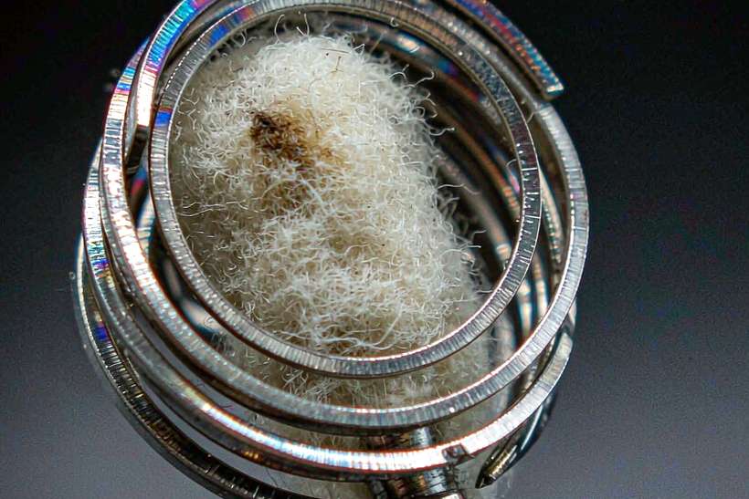 Flavor Catalog of Nicotine hardware — OEM available