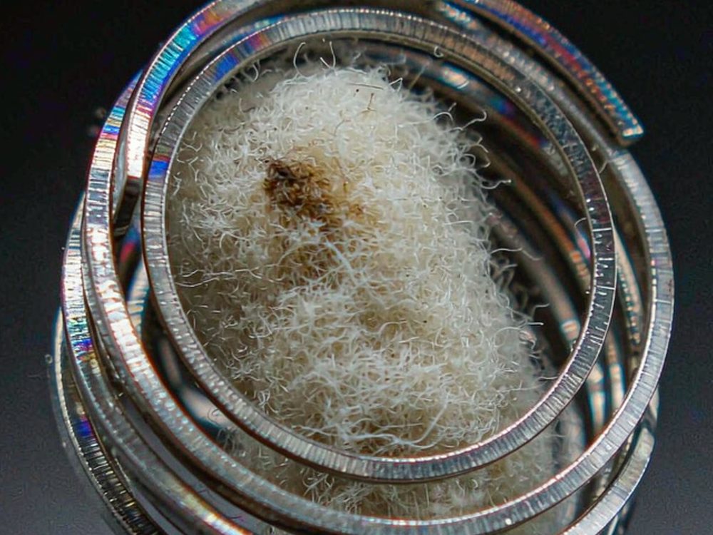 Flavor Catalog of Nicotine mods — new arrivals