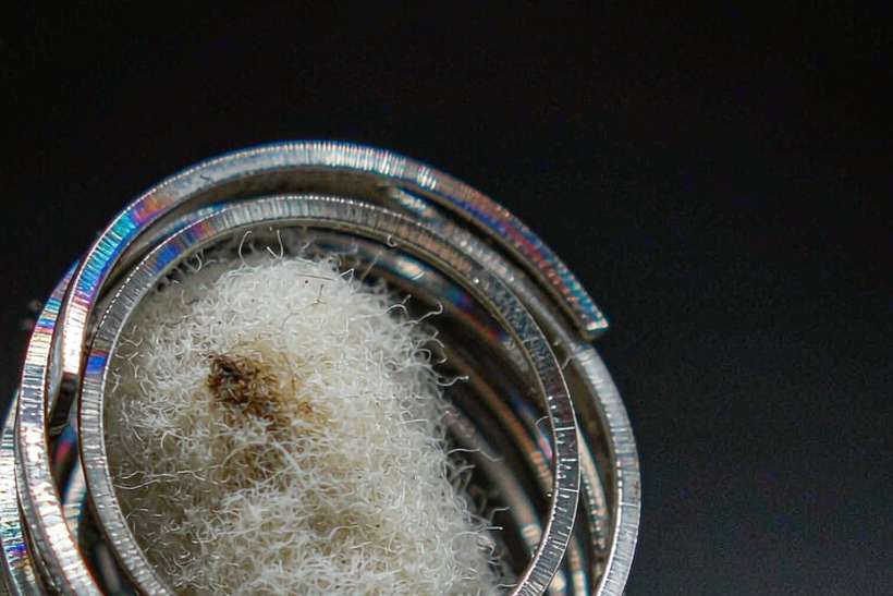 Flavor Catalog of Nicotine tanks — Winter special