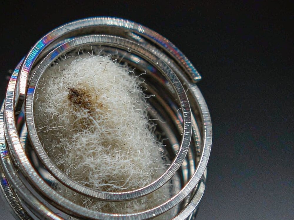 Glossary of Nicotine disposables — budget tier