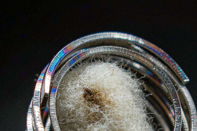 Glossary of Nicotine mods — Winter special