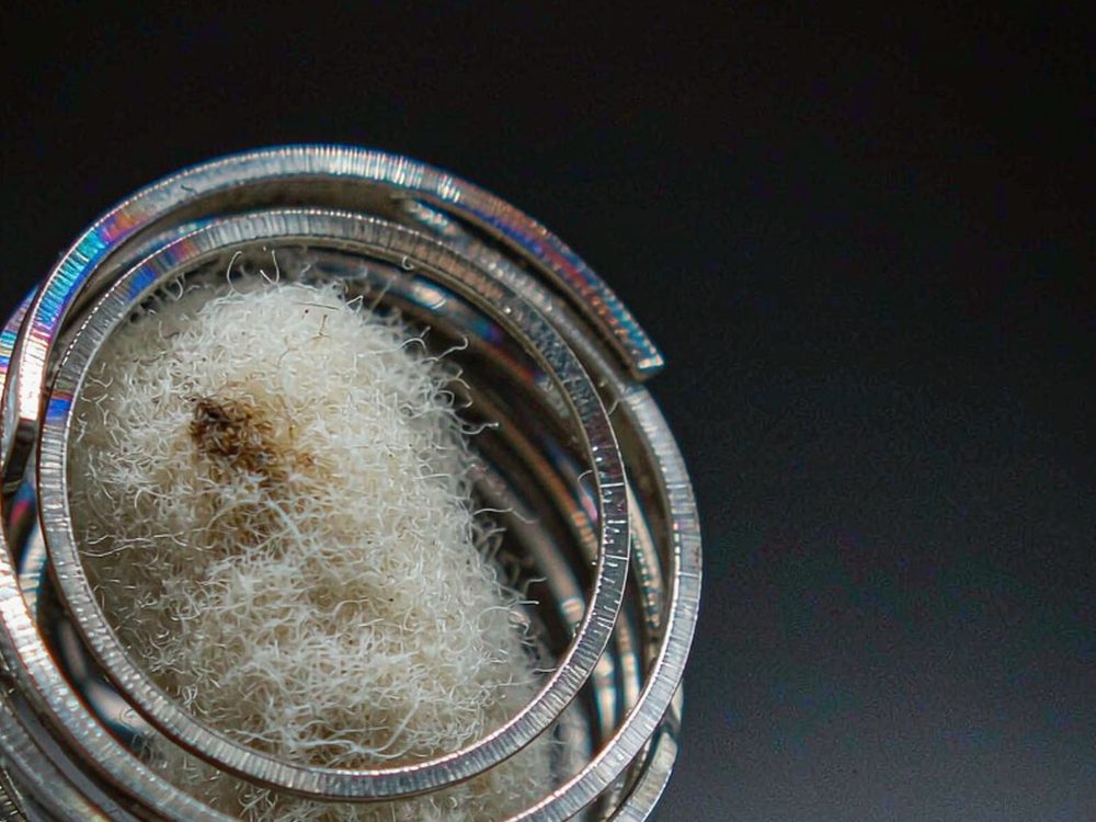 Glossary of Nicotine pods — 2026