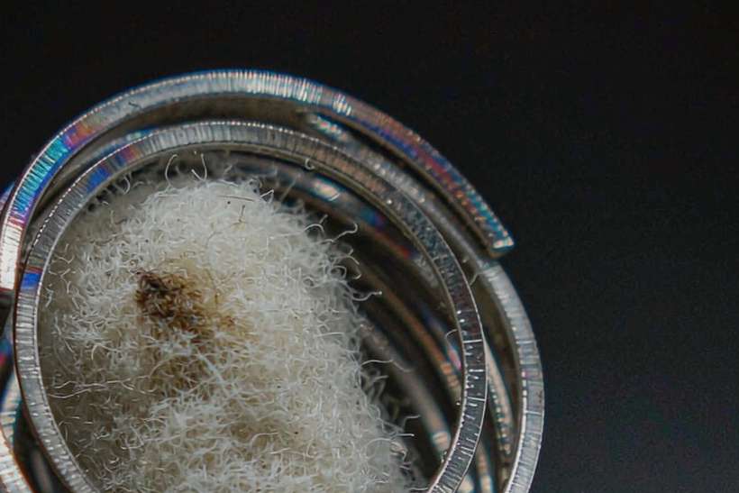 How to Store Nicotine in Glasgow — ODM ready