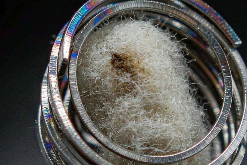 Launch Plan for Nicotine accessories — Middle East