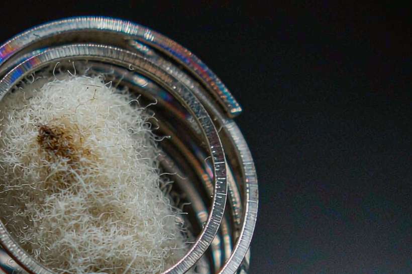 Margins on Nicotine coils — Summer deals