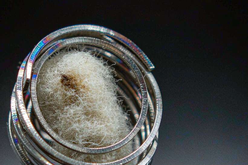 Market Overview of Nicotine bundles — Autumn stock