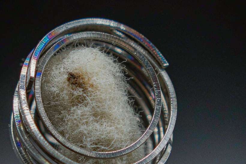 Market Overview of Nicotine mods — container load