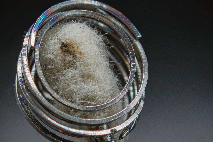 MOQ and Lead Time for Nicotine e-liquid — Asia Pacific