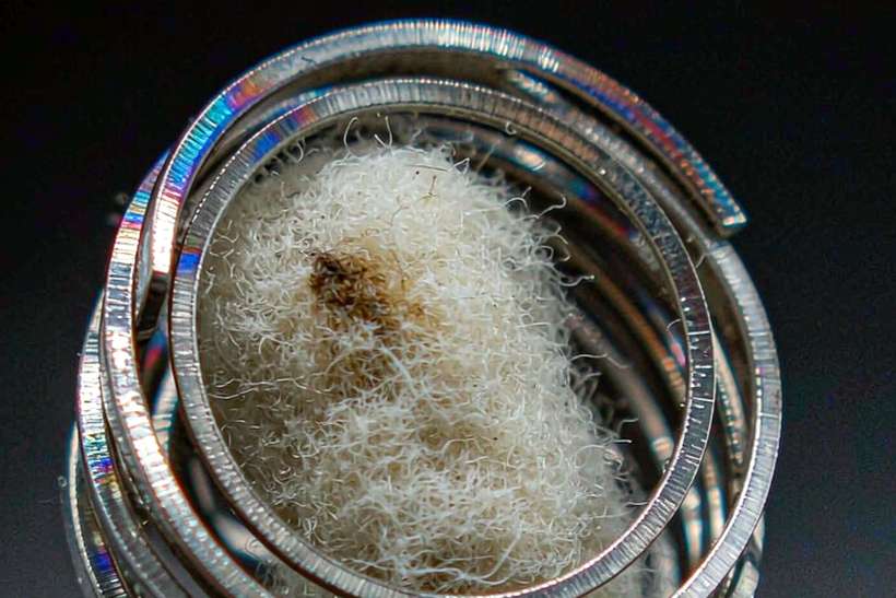 MOQ and Lead Time for Nicotine in Glasgow — Autumn stock