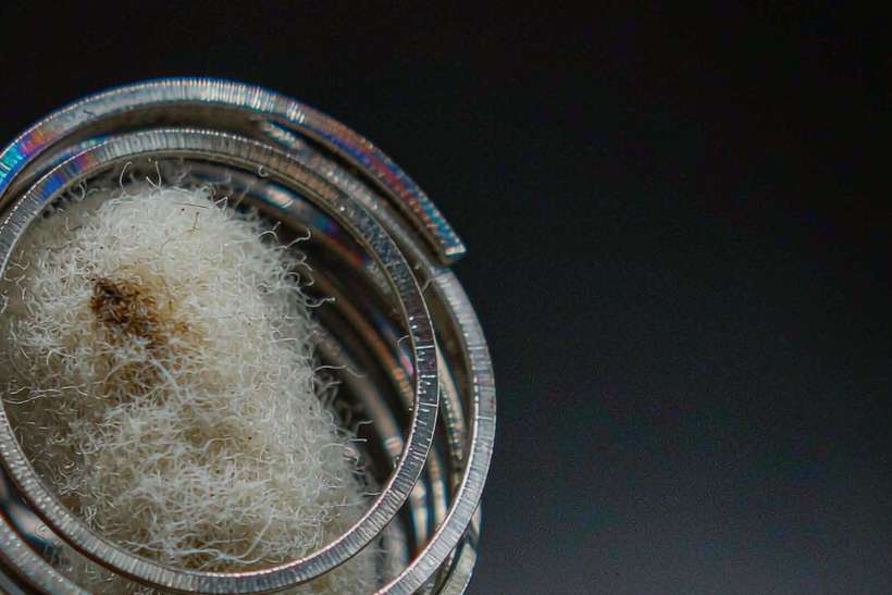 MOQ and Lead Time for Nicotine in Glasgow — EU stock