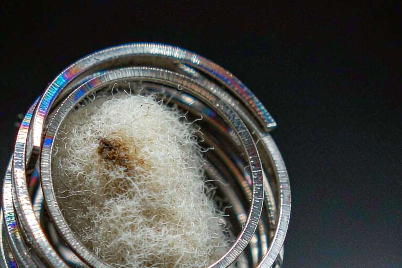 OEM and ODM Options for Nicotine disposables — Autumn stock