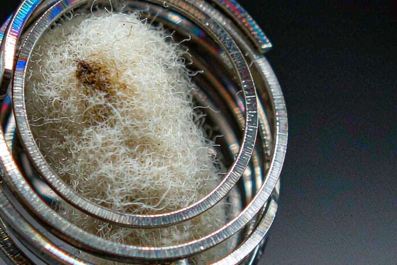 OEM and ODM Options for Nicotine disposables — Middle East