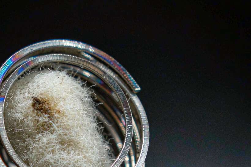 OEM and ODM Options for Nicotine hardware — bulk case