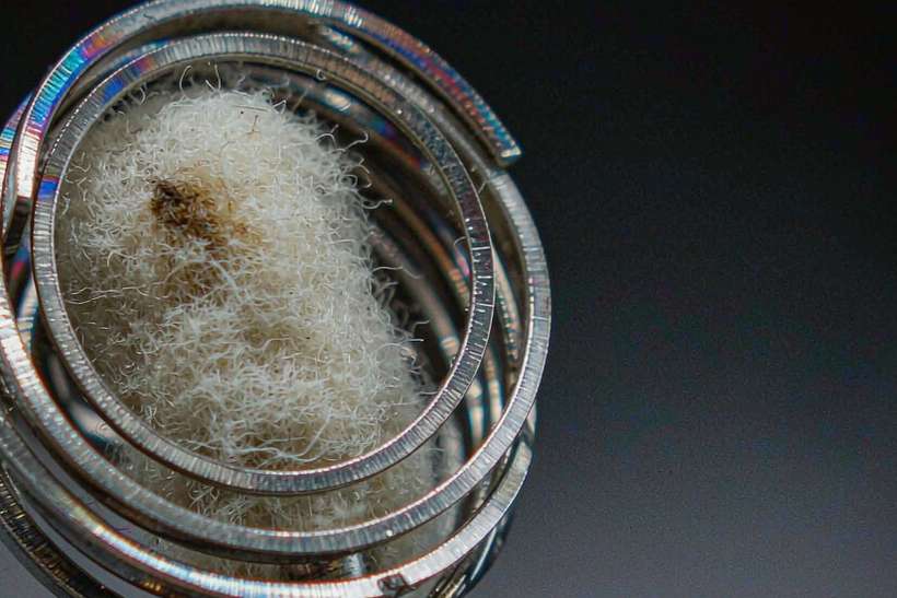Regional Review of Nicotine disposables — container load