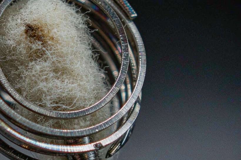 Regional Review of Nicotine disposables — ODM ready