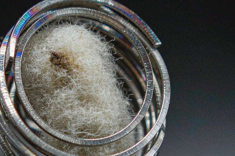 Regional Review of Nicotine in Glasgow — small parcel