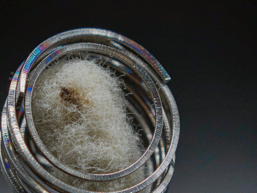 Regional Review of Nicotine pods — 2026