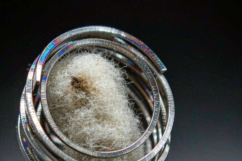 Regional Review of Nicotine pods — container load