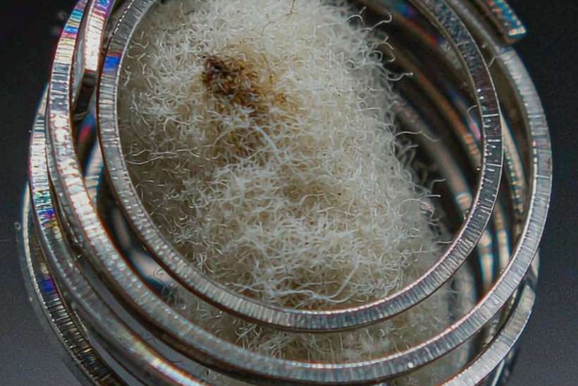 Reseller Guide to Glasgow Nicotine — ODM ready