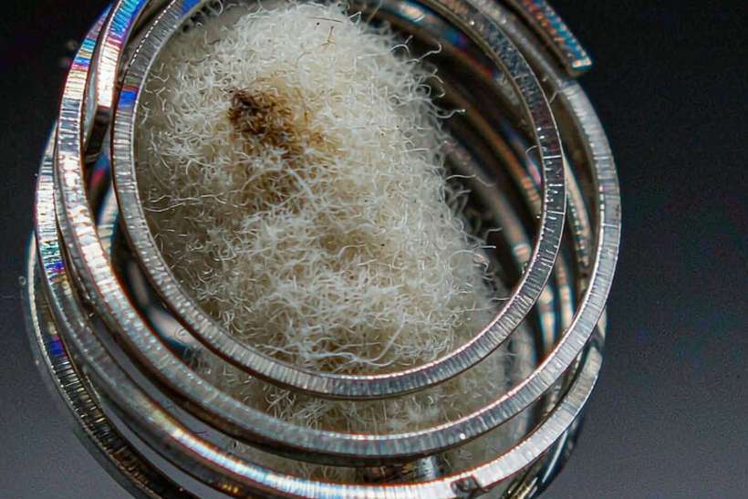 Reseller Guide to Nicotine kits — container load