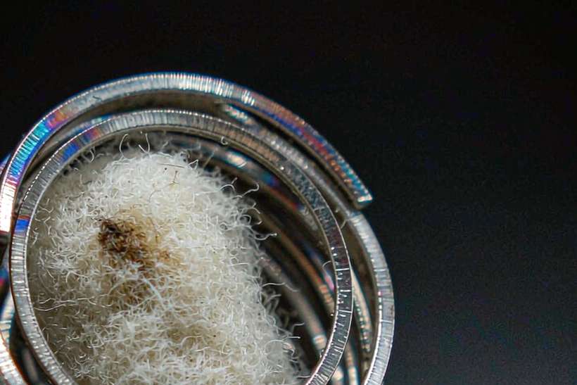 Starter Kit Guide for Nicotine coils — bulk case