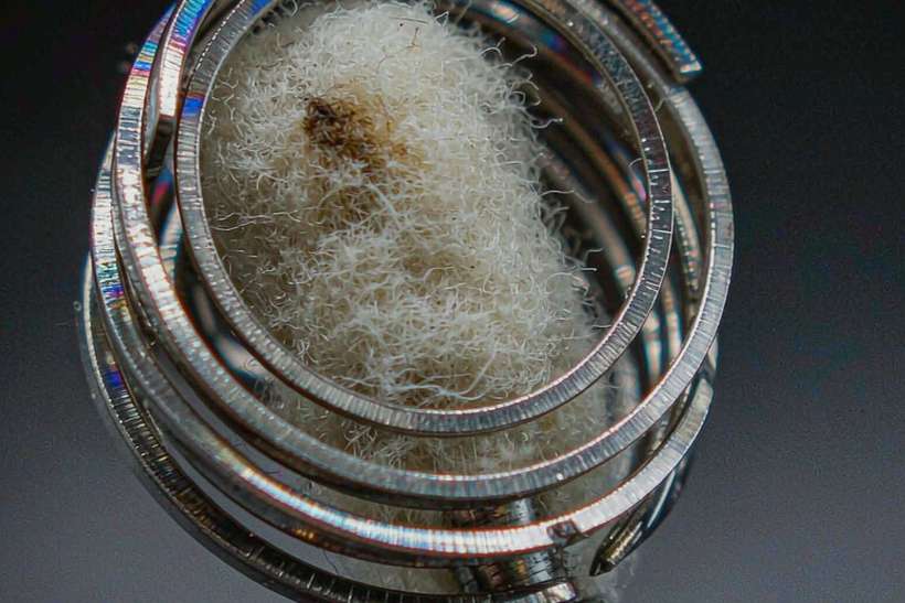 Starter Kit Guide for Nicotine pods — Summer deals