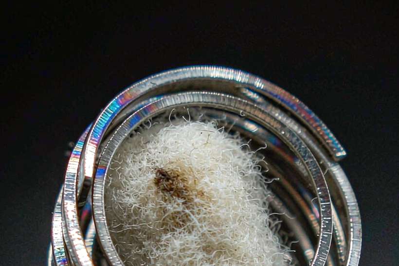 Top Picks of Nicotine coils — limited batch