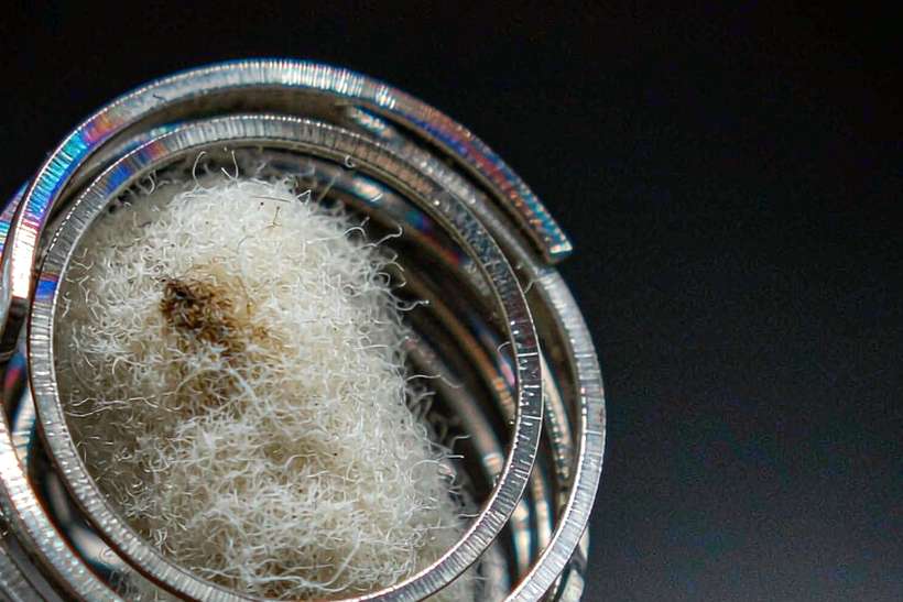 Top Picks of Nicotine disposables — container load