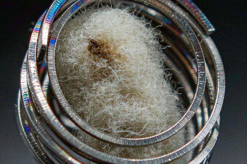 Top Picks of Nicotine hardware — limited batch