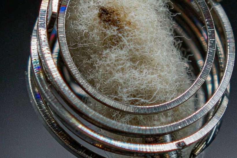 Trend Report on Nicotine hardware — Summer deals