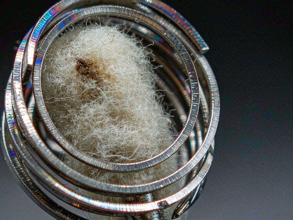 Trend Report on Nicotine products in Glasgow — top rated