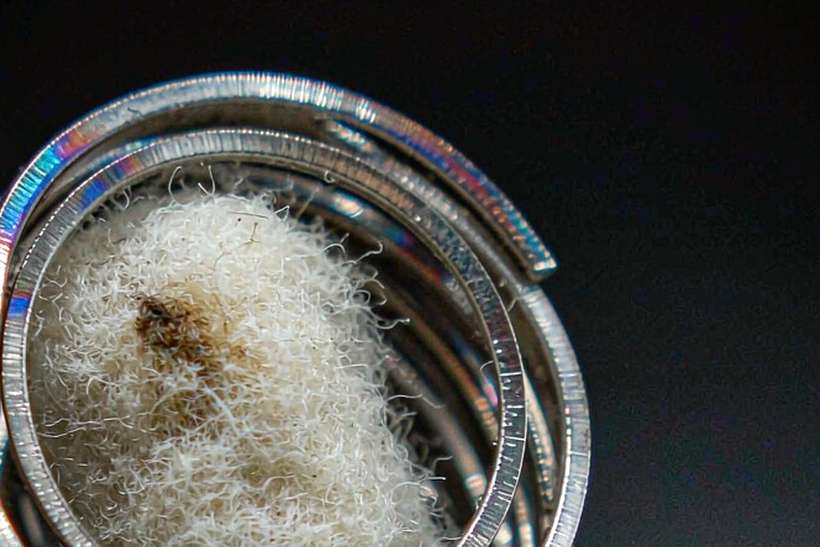 Warehouse Options for Glasgow Nicotine — Asia Pacific