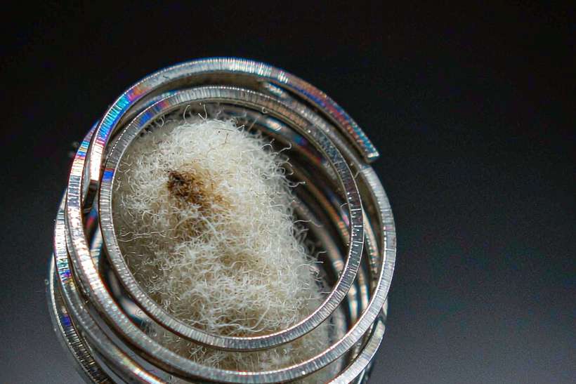 Warehouse Options for Nicotine bundles — limited batch