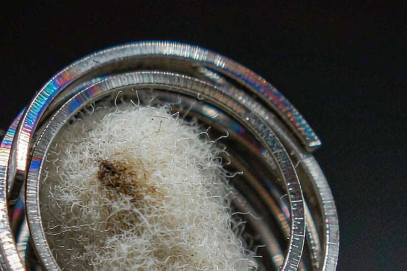 Warehouse Options for Nicotine disposables — Middle East