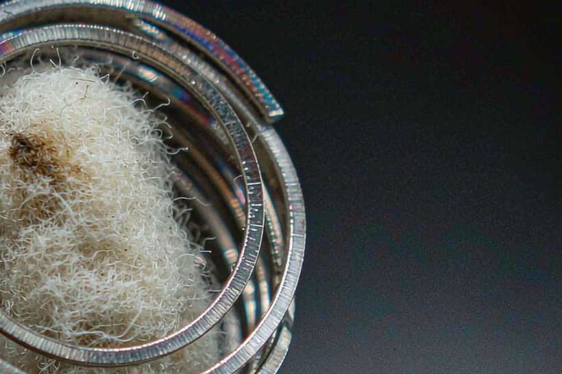 Warranty Notes for Nicotine coils — Winter special