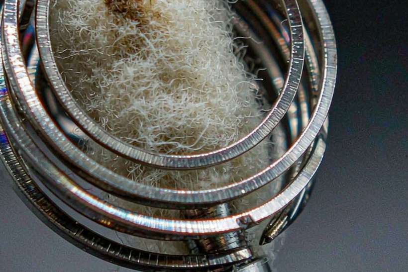Warranty Notes for Nicotine disposables — OEM available