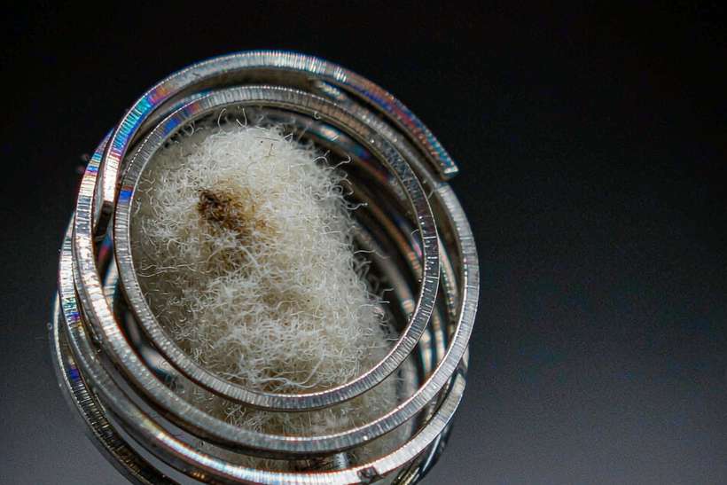 Warranty Notes for Nicotine pods — Autumn stock