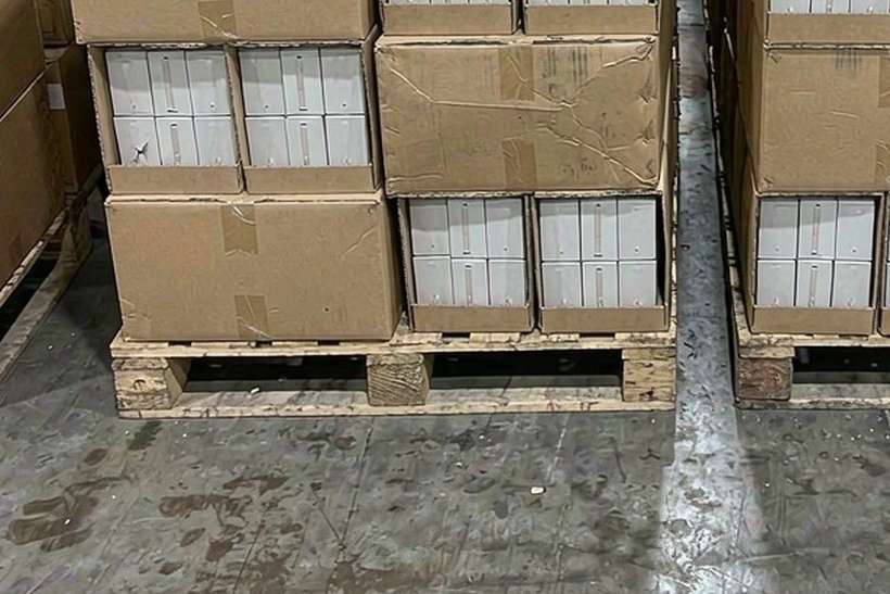 Wholesale Nicotine disposables — limited batch