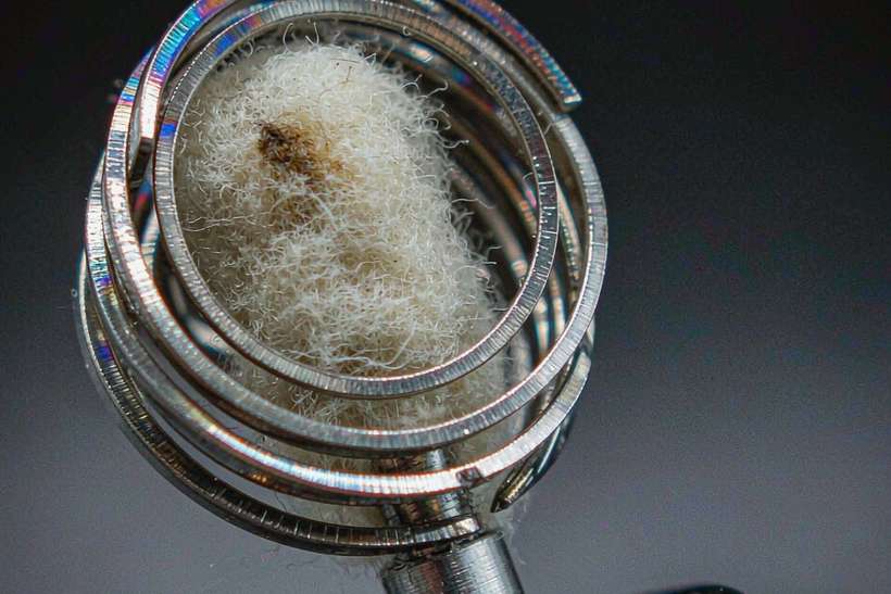 Wholesale Nicotine pods — ODM ready